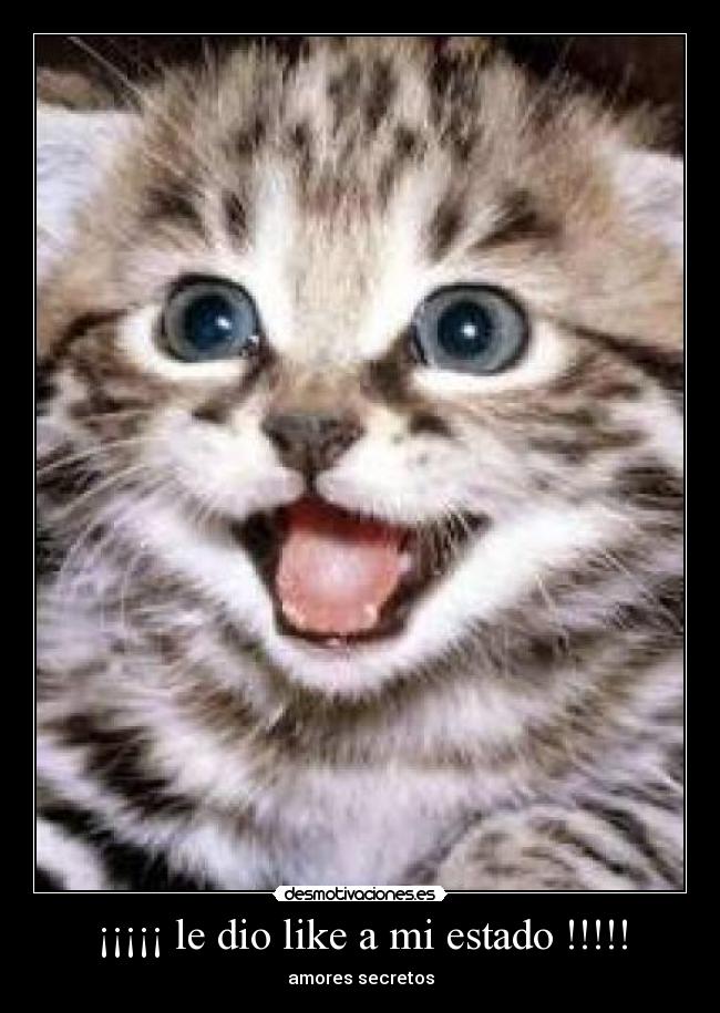 ¡¡¡¡¡ le dio like a mi estado !!!!! - amores secretos