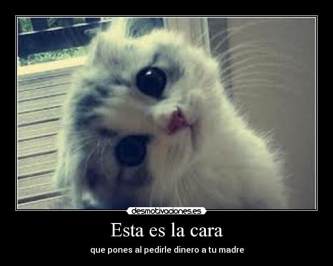 Resultado de imagen para desmotivaciones es imagenes comicas