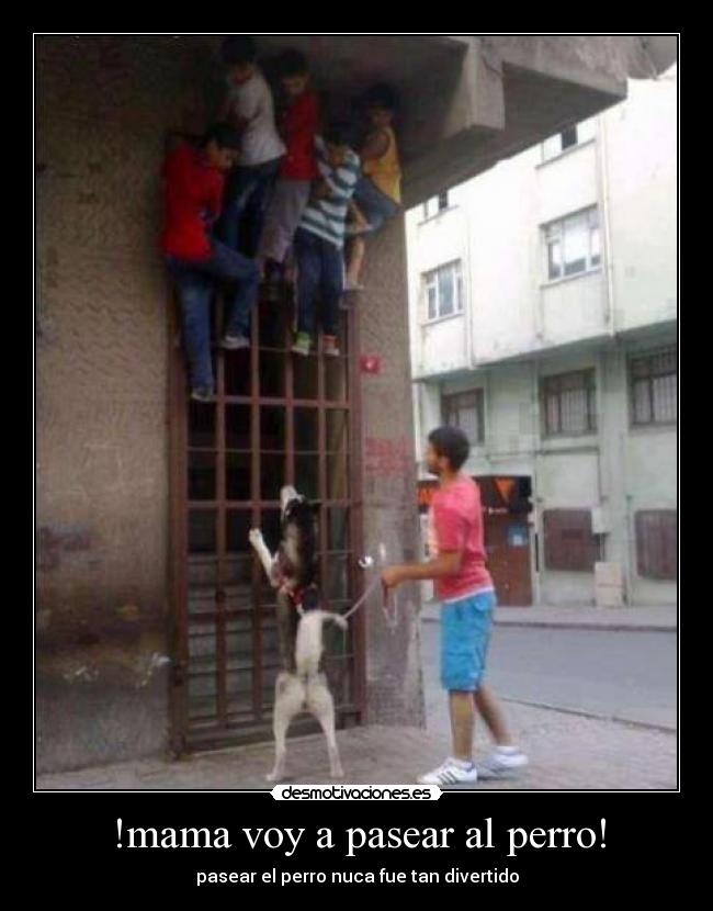 !mama voy a pasear al perro! - pasear el perro nuca fue tan divertido