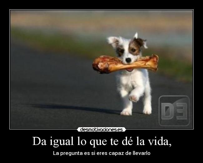 Da igual lo que te dé la vida, - La pregunta es si eres capaz de llevarlo