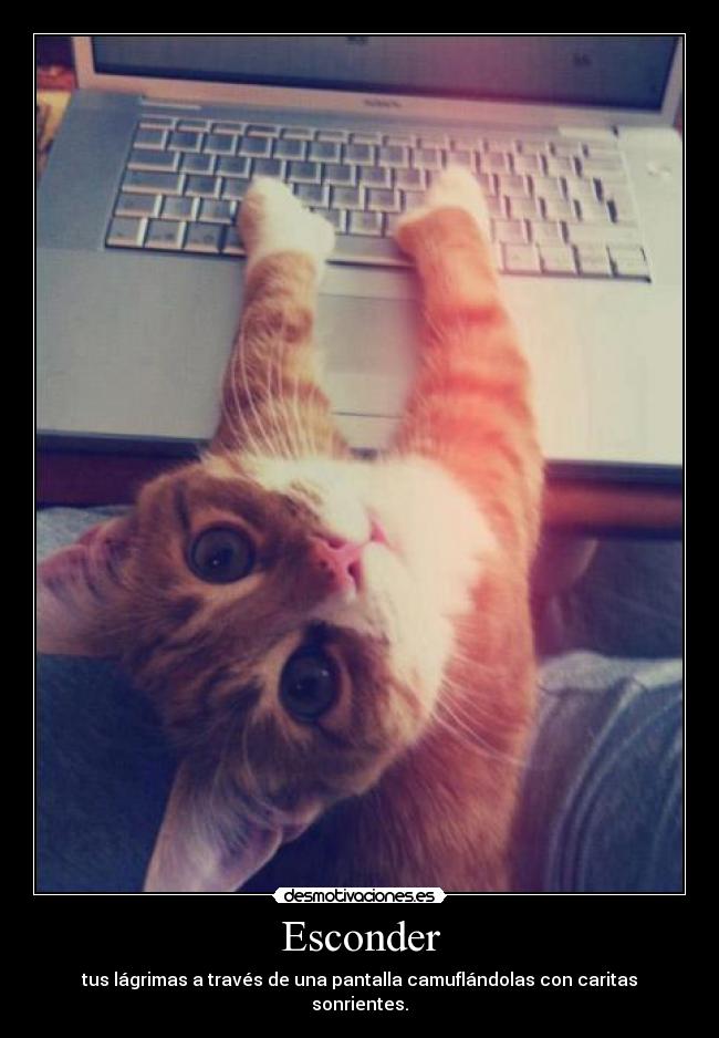 Esconder - 