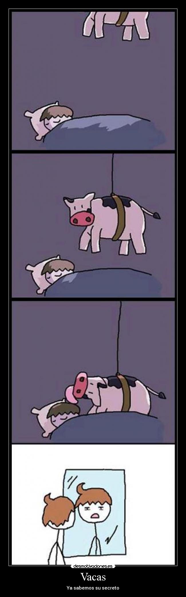 Vacas - 