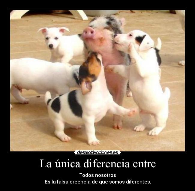 La única diferencia entre - Todos nosotros
Es la falsa creencia de que somos diferentes.