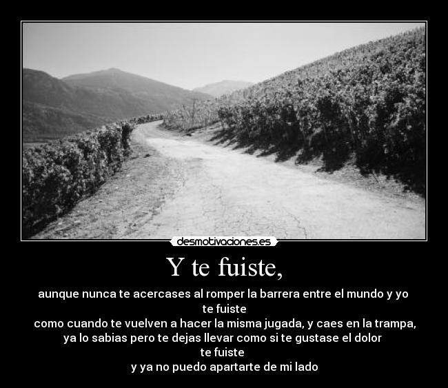 Y te fuiste, - aunque nunca te acercases al romper la barrera entre el mundo y yo 
te fuiste
como cuando te vuelven a hacer la misma jugada, y caes en la trampa,
ya lo sabias pero te dejas llevar como si te gustase el dolor 
te fuiste 
y ya no puedo apartarte de mi lado