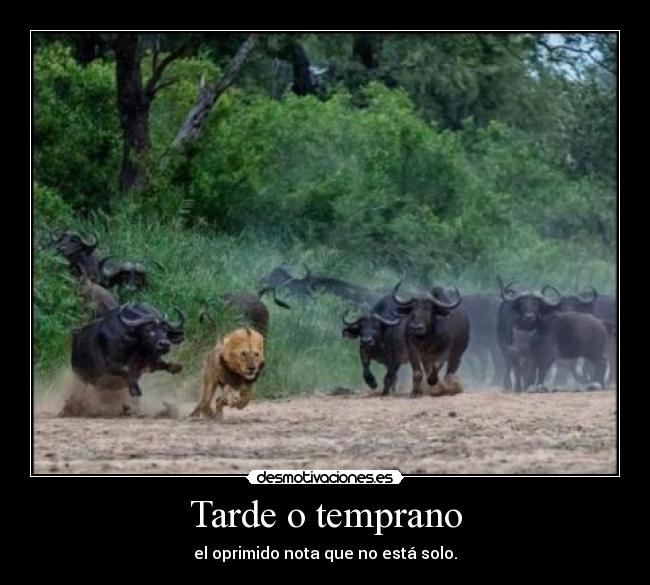 Tarde o temprano -