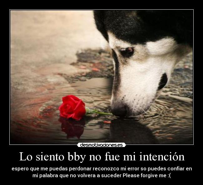 Lo siento bby no fue mi intención -