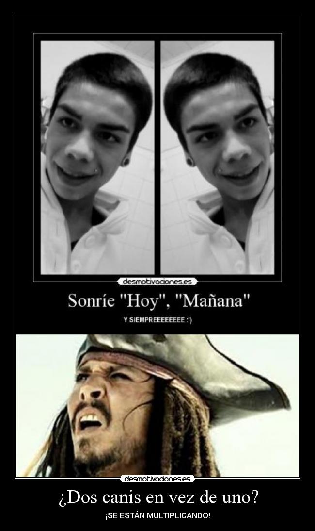 carteles this not tuenti facebook vale cani hay mas que ver imagen perfil desmotivaciones