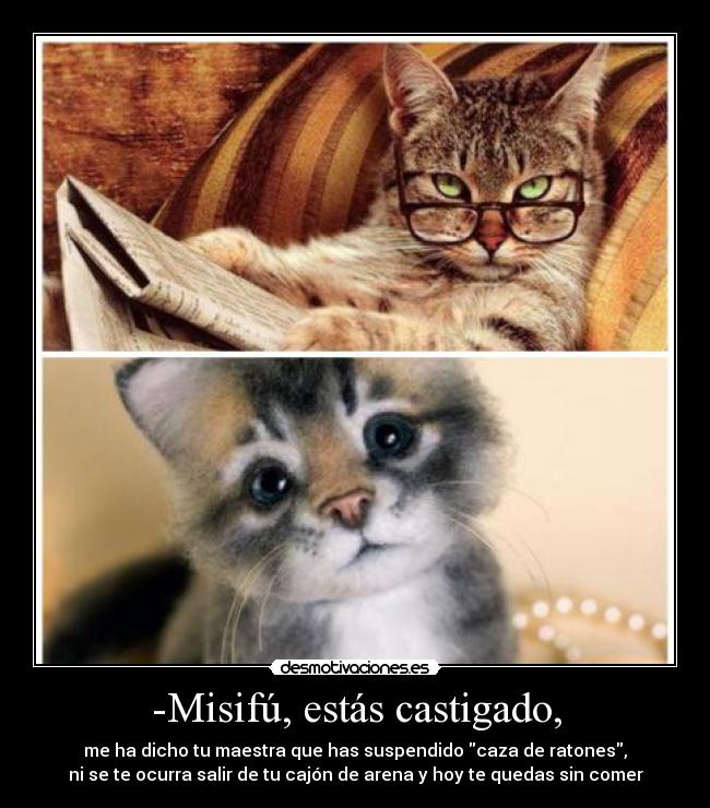 -Misifú, estás castigado, - me ha dicho tu maestra que has suspendido caza de ratones,
ni se te ocurra salir de tu cajón de arena y hoy te quedas sin comer