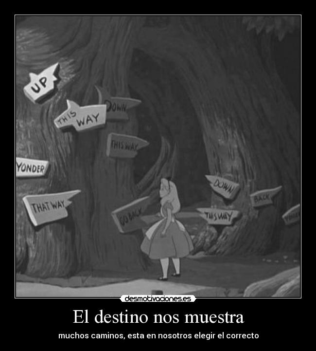El destino nos muestra - muchos caminos, esta en nosotros elegir el correcto