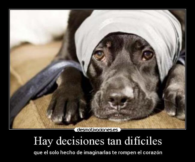 Hay decisiones tan difíciles - que el solo hecho de imaginarlas te rompen el corazón