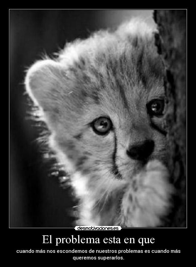 El problema esta en que - cuando más nos escondemos de nuestros problemas es cuando más
queremos superarlos.