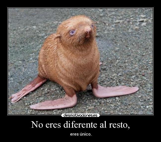 No eres diferente al resto, - 