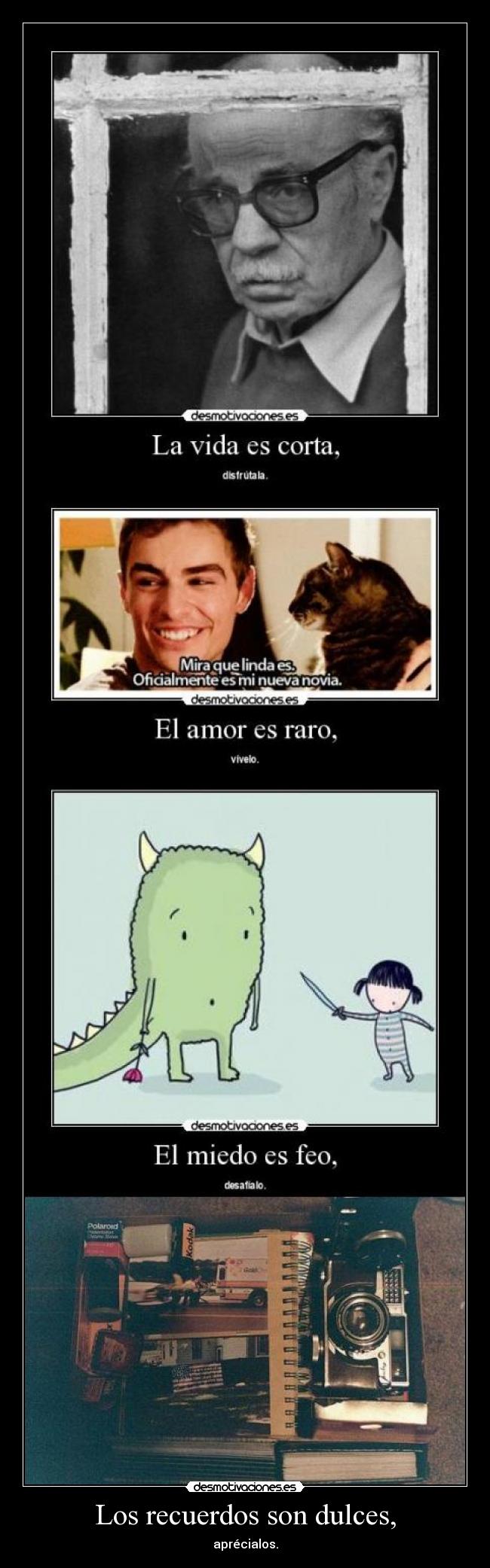 carteles recuerdos plo sabato abjskfbajke dkbvuskv lalalal sientodinosauriosenelestomago desmotivaciones