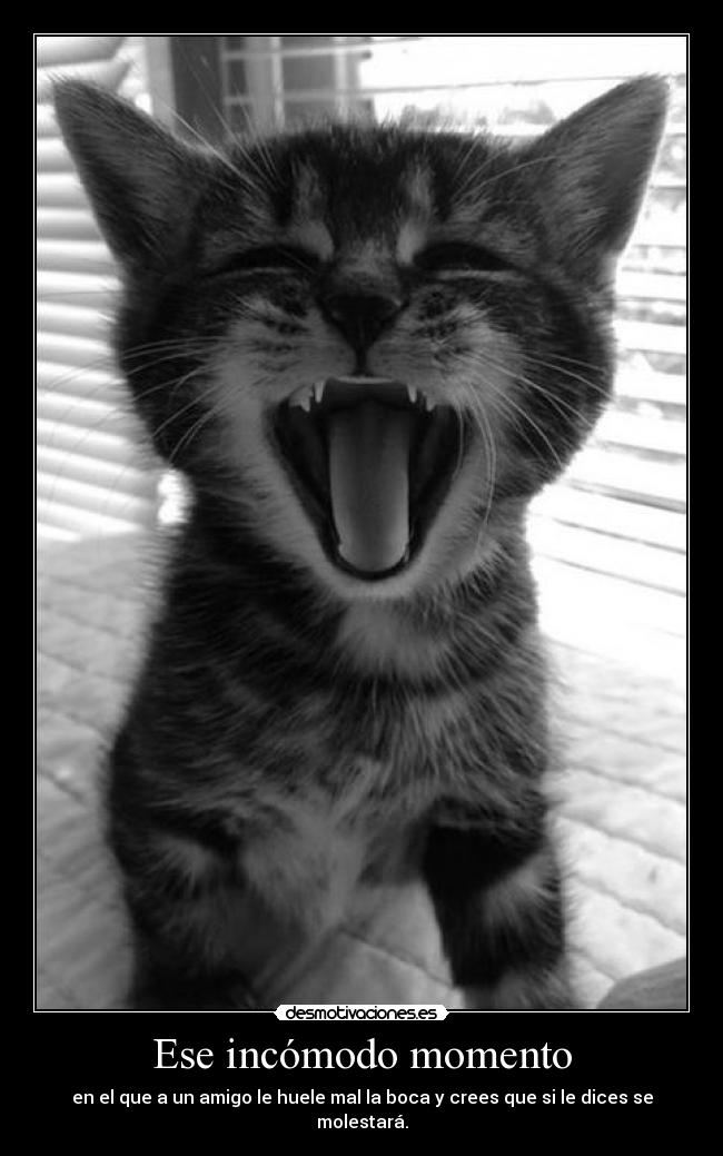 Ese incómodo momento -