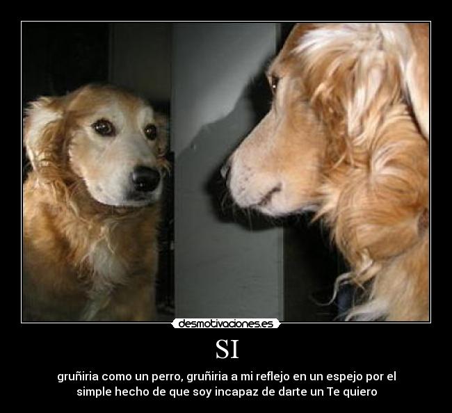 carteles tequiero desmotivaciones