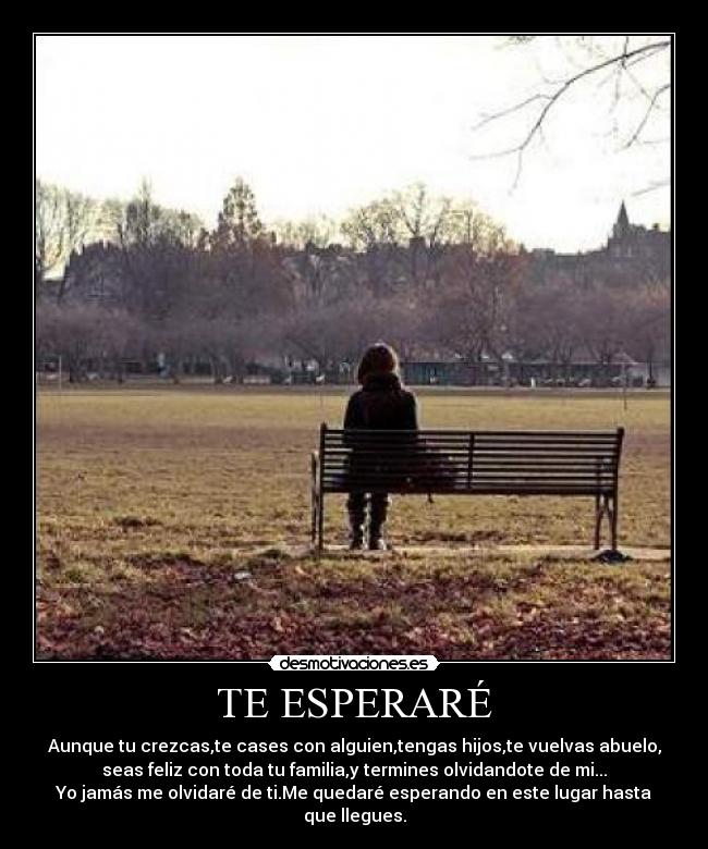 TE ESPERARÉ -