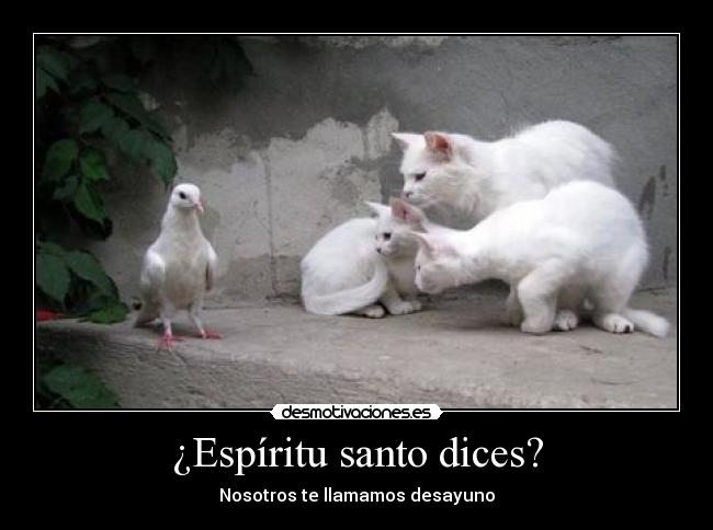 ¿Espíritu santo dices? - 
