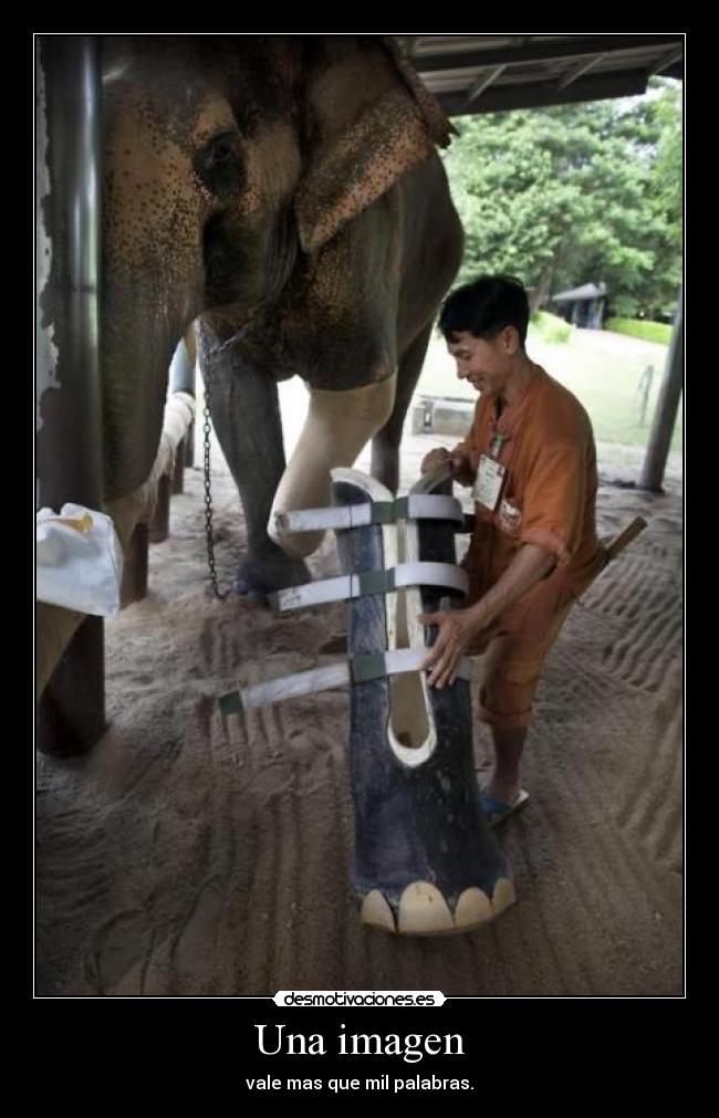Una imagen - vale mas que mil palabras.