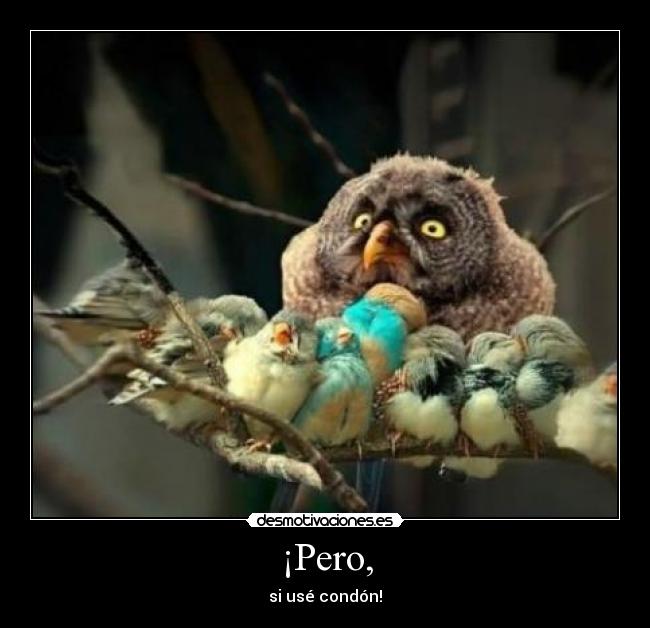 ¡Pero, - 