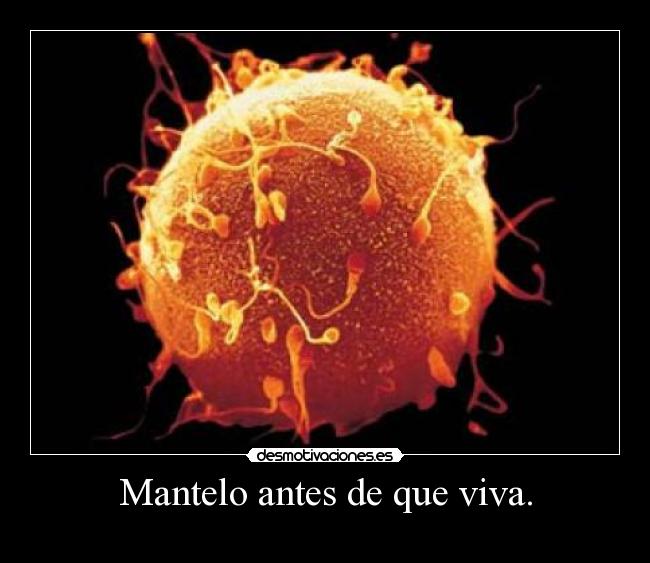 Mantelo antes de que viva. -