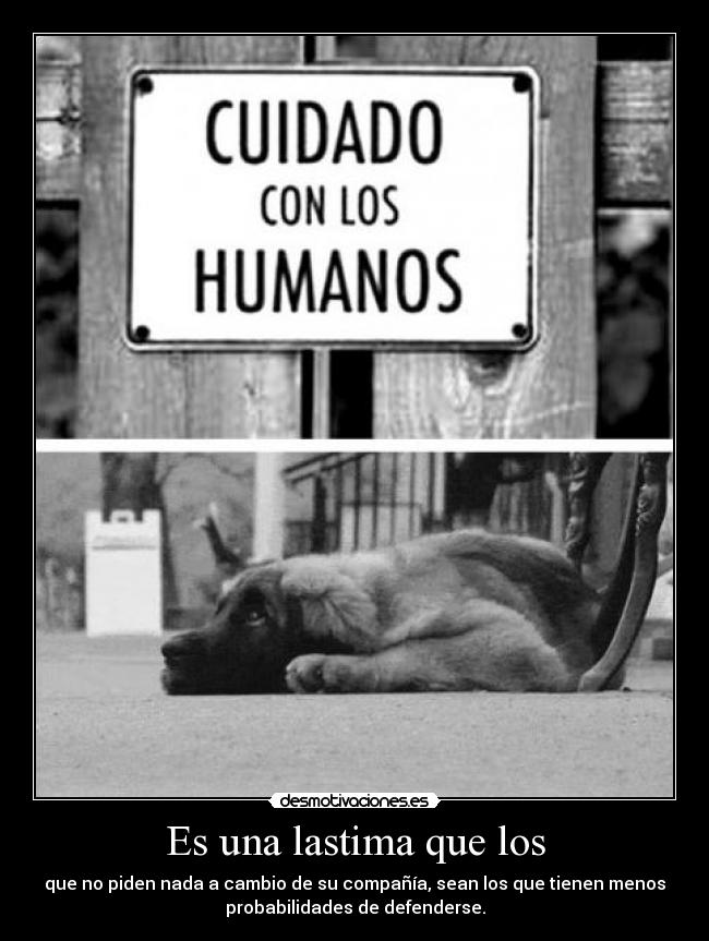 Es una lastima que los -