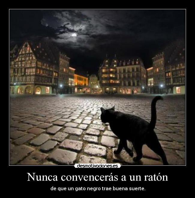 Nunca convencerás a un ratón - de que un gato negro trae buena suerte.