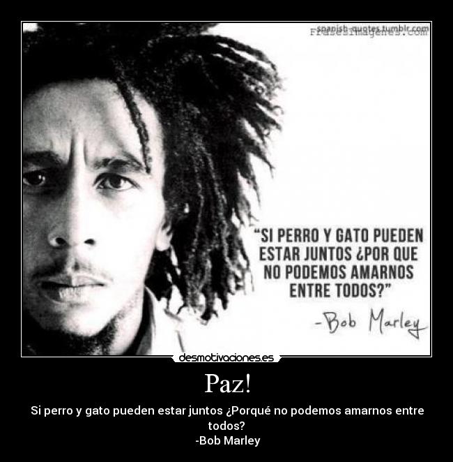 Paz! - Si perro y gato pueden estar juntos ¿Porqué no podemos amarnos entre todos?
-Bob Marley