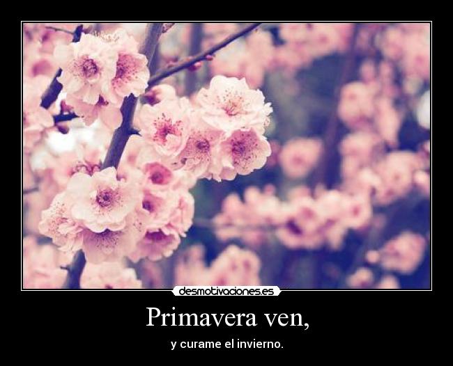 Primavera ven, - y curame el invierno.