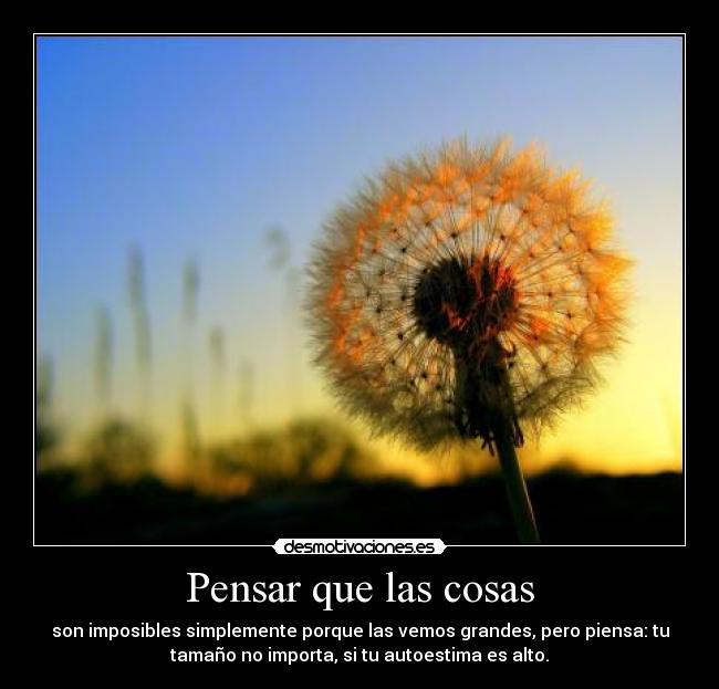 Pensar que las cosas - son imposibles simplemente porque las vemos grandes, pero piensa: tu
tamaño no importa, si tu autoestima es alto.