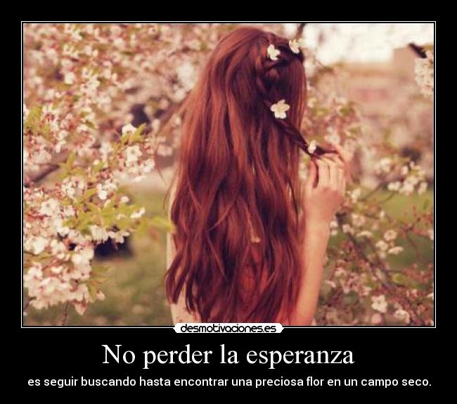 No perder la esperanza -