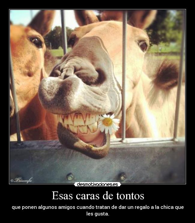 carteles rumpelstiltskin lololol rechazo desmotivaciones