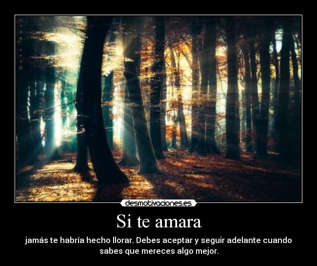 Si te amara - jamás te habría hecho llorar. Debes aceptar y seguir adelante cuando
sabes que mereces algo mejor.