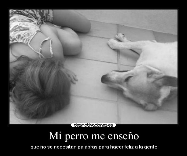 Mi perro me enseño - que no se necesitan palabras para hacer feliz a la gente