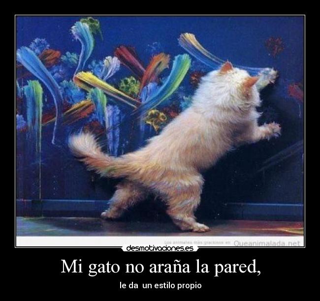 carteles gato desmotivaciones