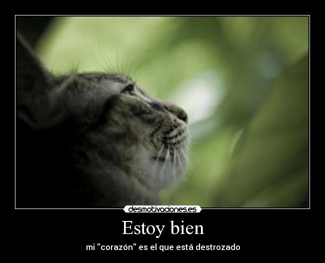 Estoy bien - 