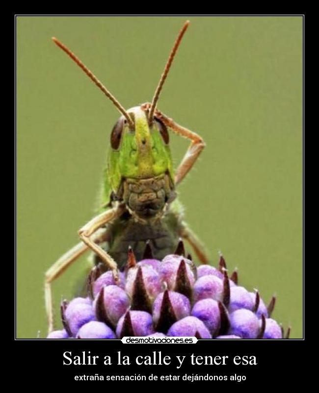 Salir a la calle y tener esa -