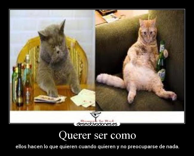 Querer ser como - ellos hacen lo que quieren cuando quieren y no preocuparse de nada.