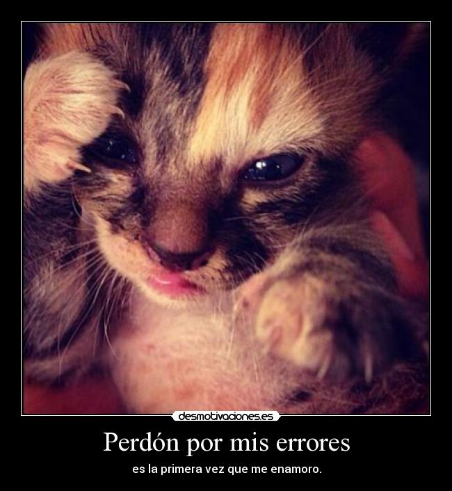 Perdón por mis errores - es la primera vez que me enamoro.