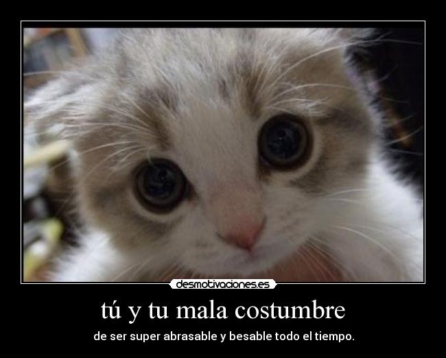 tú y tu mala costumbre - de ser super abrasable y besable todo el tiempo.
