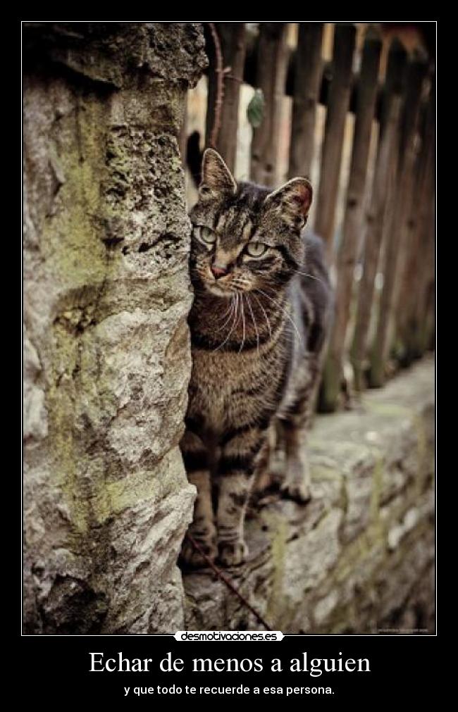 Echar de menos a alguien - 