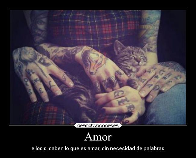 Amor -