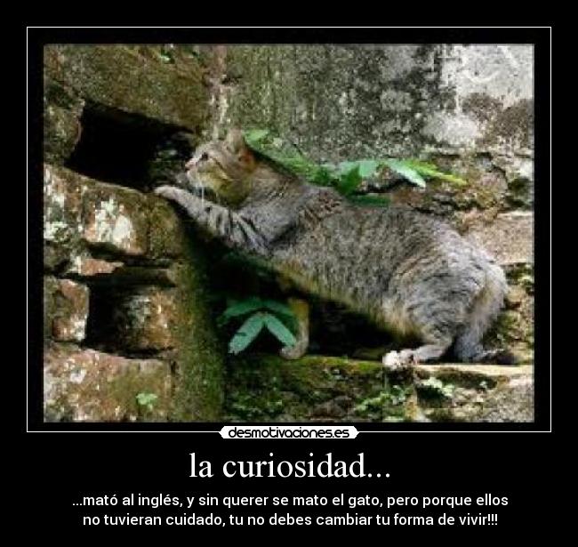 la curiosidad... - ...mató al inglés, y sin querer se mato el gato, pero porque ellos
no tuvieran cuidado, tu no debes cambiar tu forma de vivir!!!