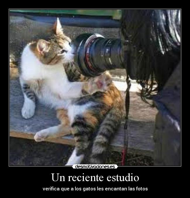 Un reciente estudio -