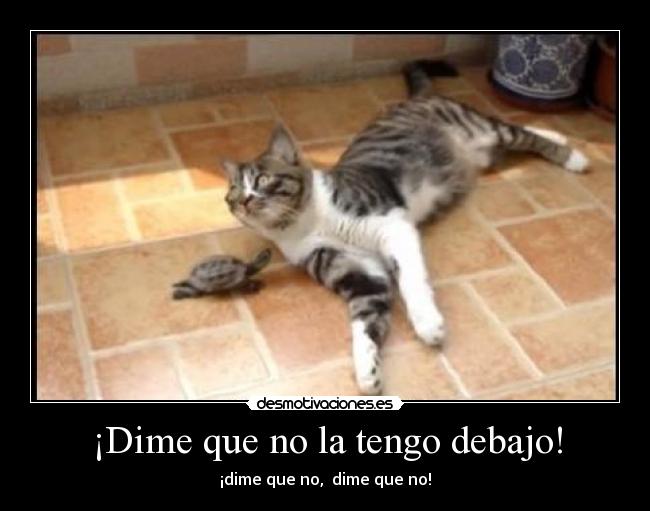 ¡Dime que no la tengo debajo! -