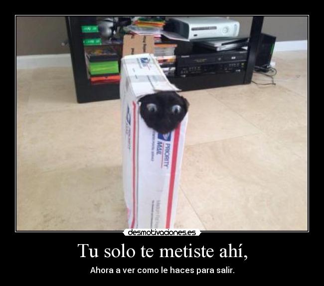 Tu solo te metiste ahí, - Ahora a ver como le haces para salir.