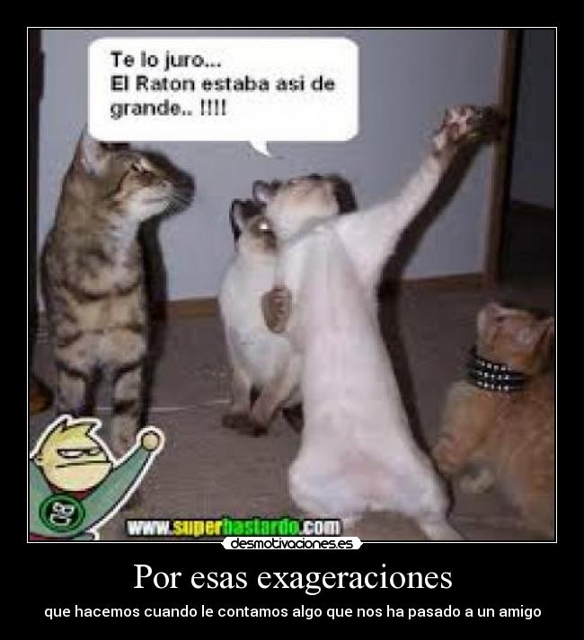 carteles gatosexagerar amigos contar historias desmotivaciones