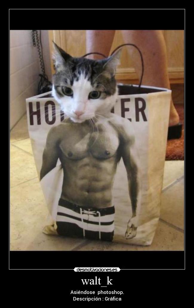 carteles hjs desmotivaciones