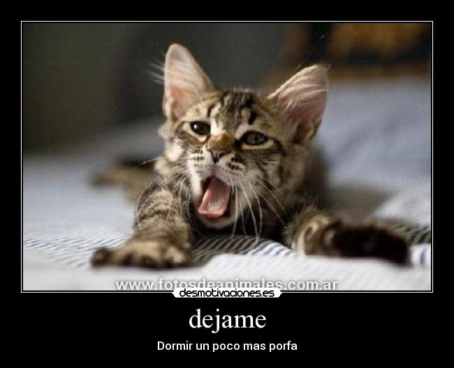 dejame - Dormir un poco mas porfa
