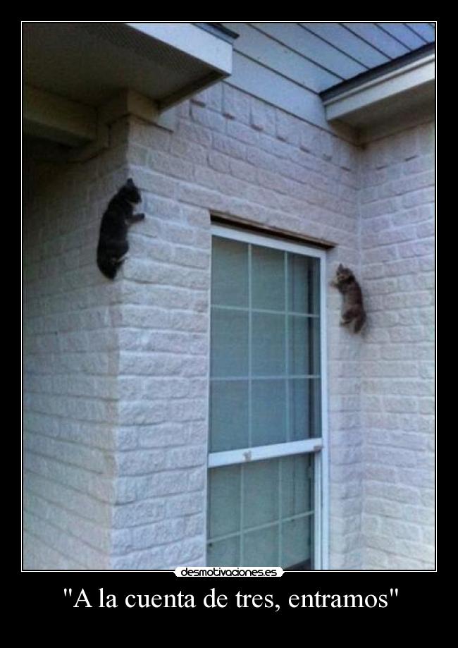 A la cuenta de tres, entramos -