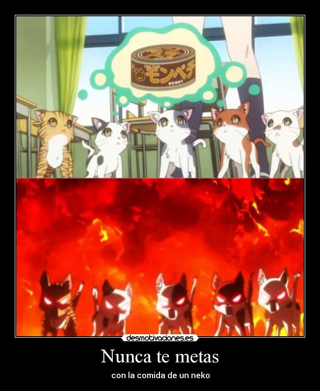 Nunca te metas - con la comida de un neko
